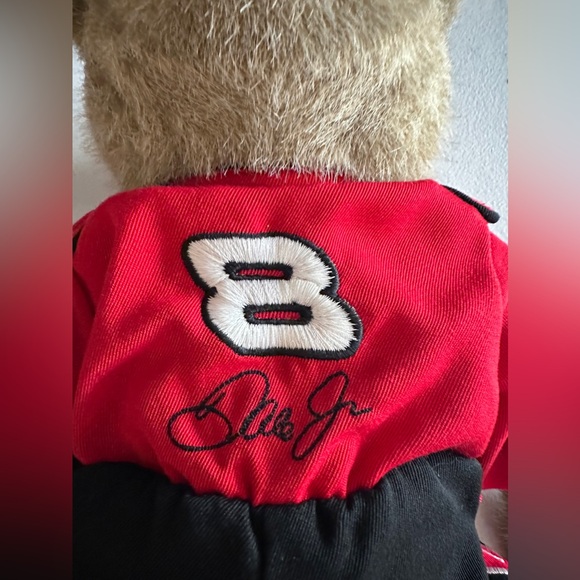 DALE EARNHARDT JR ( 8 ) NASCAR - COLLECTORS BOYDS BEAR - Picture 5 of 12